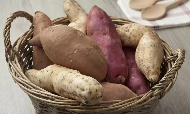 How To Grow Yams And Get Great Yields?
