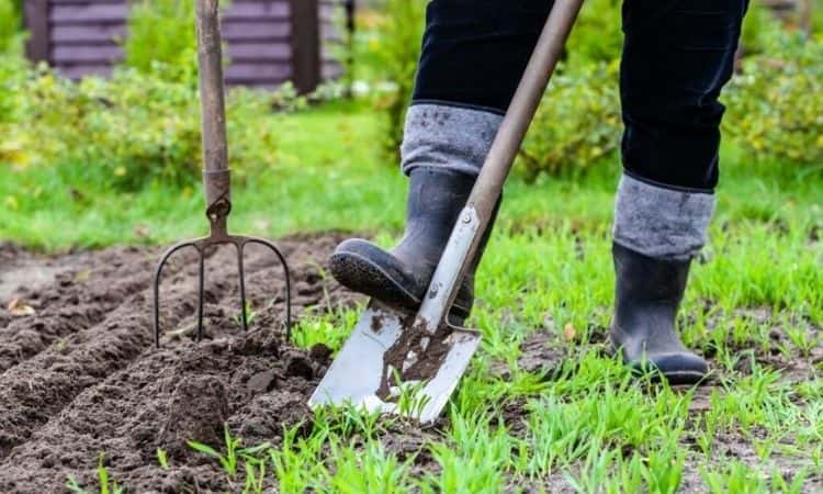 A man in rubber boots digs in the ground