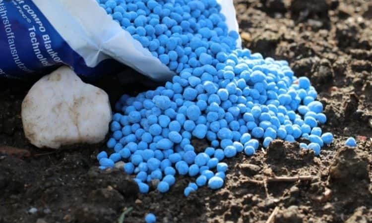 Mineral blue grain fertilize