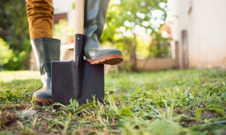 gardener digs the ground
