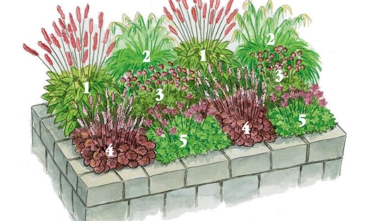 raised-bed-drawing-garden