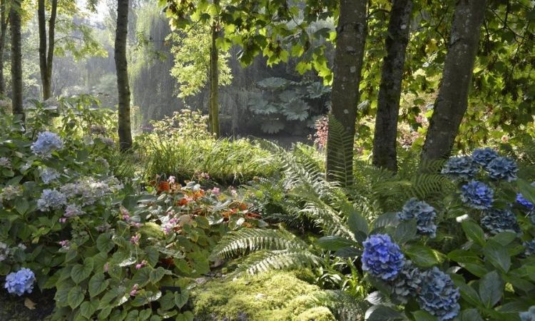 Shady Places In The Garden: 3 Ideas For Replanting