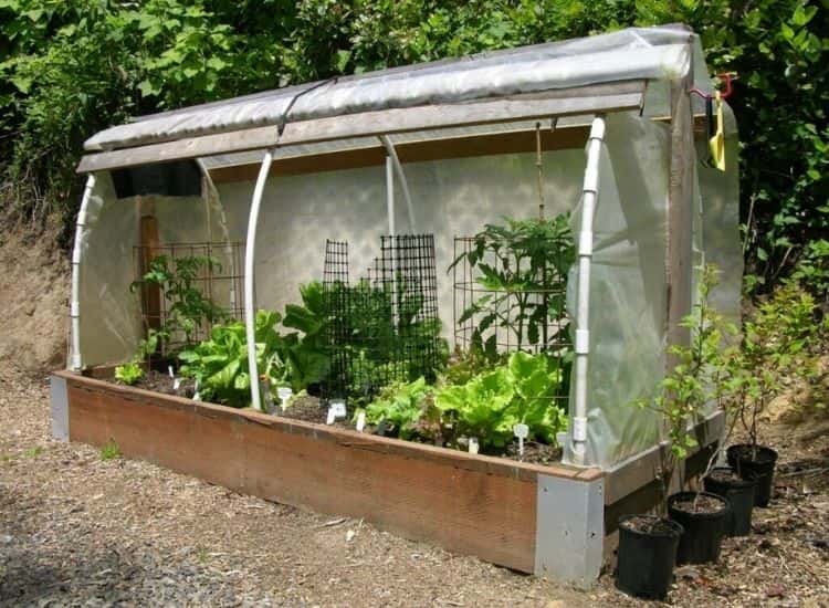 Greenhouse raised bed