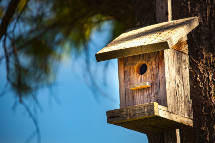 Birdhouses in natural tones are not so well recognized by predators 