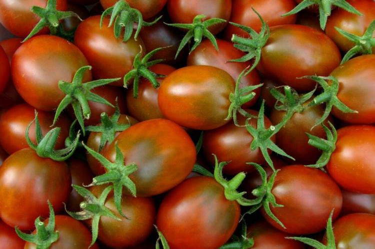Black Plum Tomato: Properties, Planting And Care