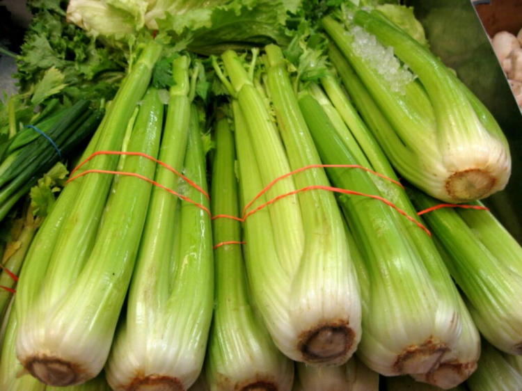 Celery (Apium Graveolens): Growing Soup Seasoning In Your Garden