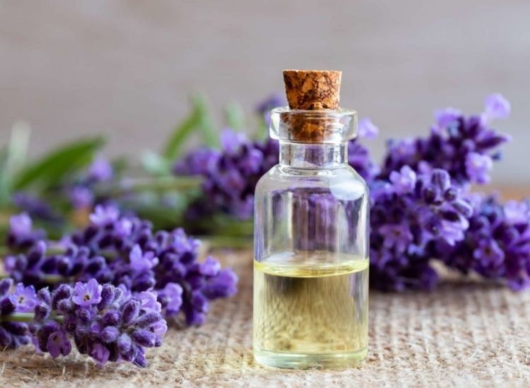 Homemade lavender oil can be used in many ways