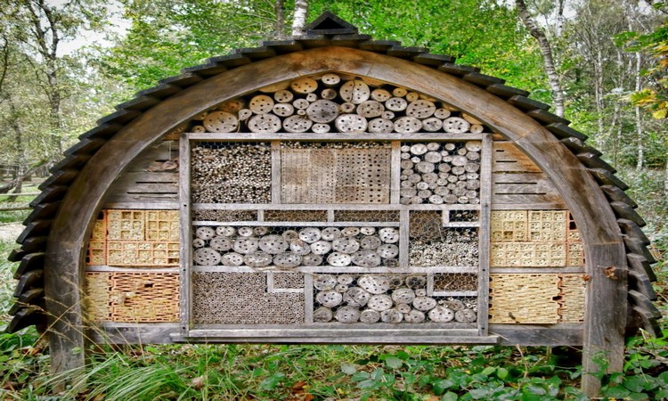 Insect hotel-beehive-wood