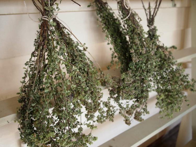 Oregano is usually dried in a bundle