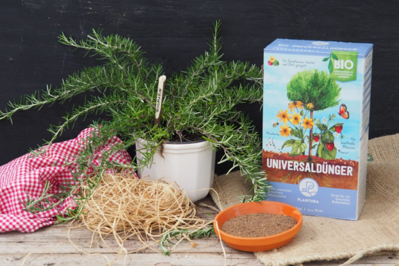 Organic long-term fertilizers such as our organic universal fertilizer offer an optimal supply of nutrients for rosemary
