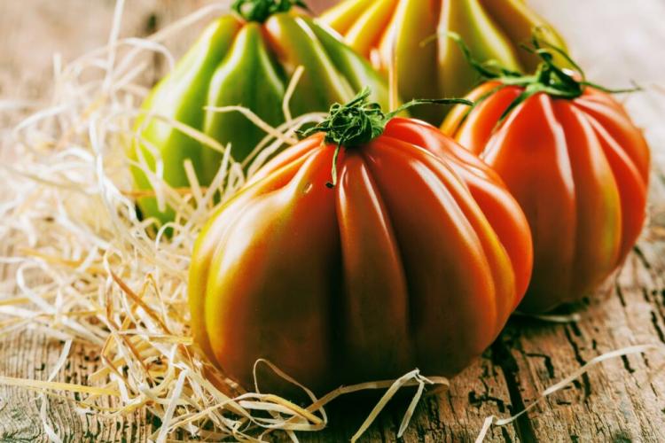 Oxheart Tomato: Planting & Caring For The Beefsteak Tomato
