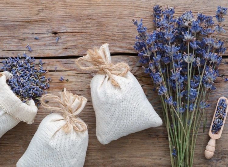 Scented sachets filled with dried lavender flowers are popular