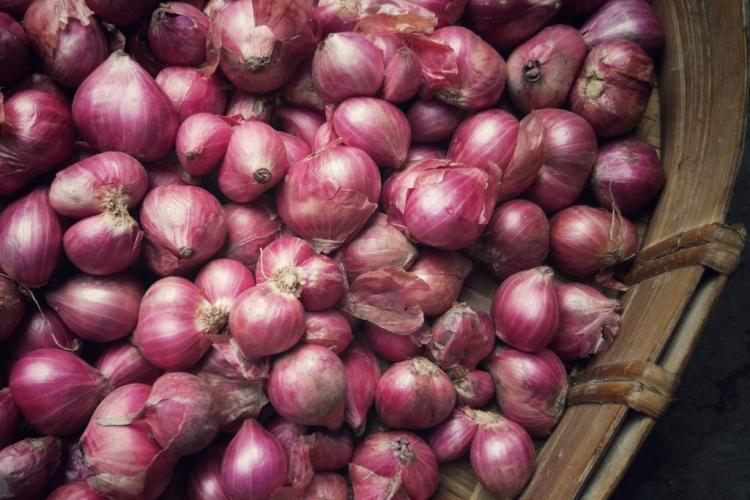Store the shallots in a dry and airy place