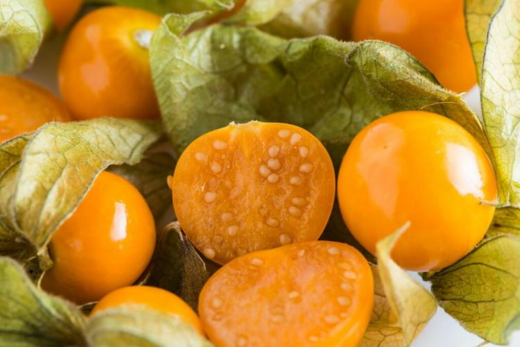 The Cape gooseberry can be processed or eaten raw