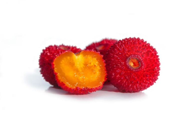 The fruits of the strawberry tree can also be eaten raw