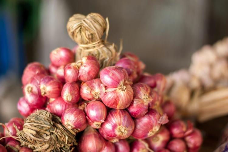 Shallot: The Little Sister Of The Kitchen Onion