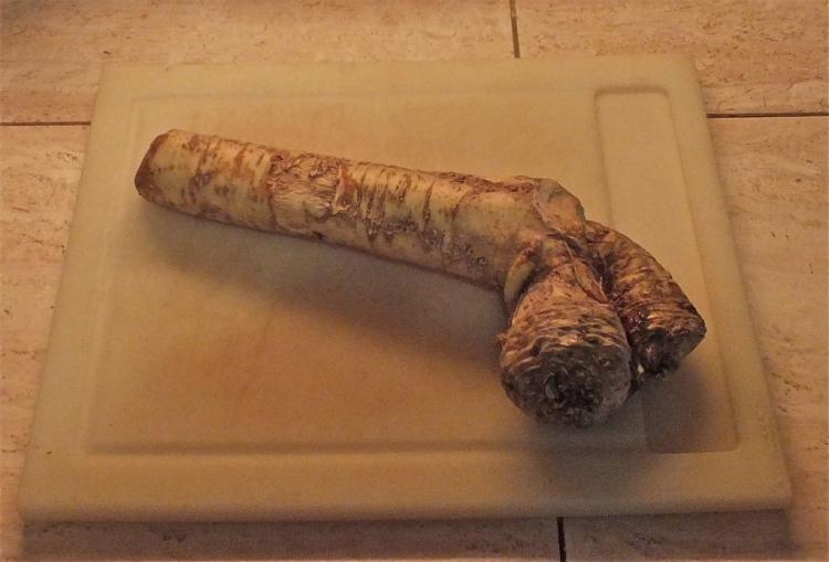 What Is A Horseradish: A Portrait The Sharp Root