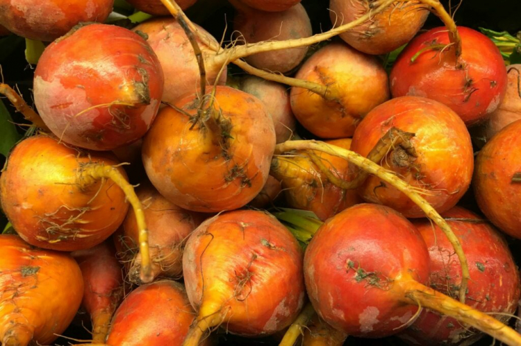 Yellow beets can be round, flat, or oblong