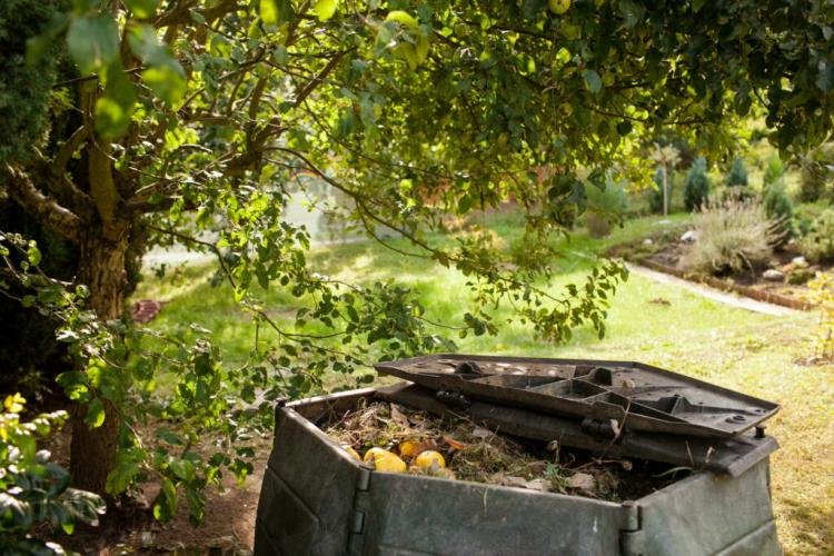 Compost Pile: What Are Its Benefits & How Does It Work?