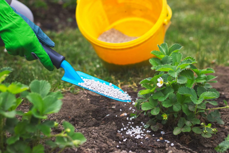 Garden Fertilizer: The Right Fertilizer For Your Garden