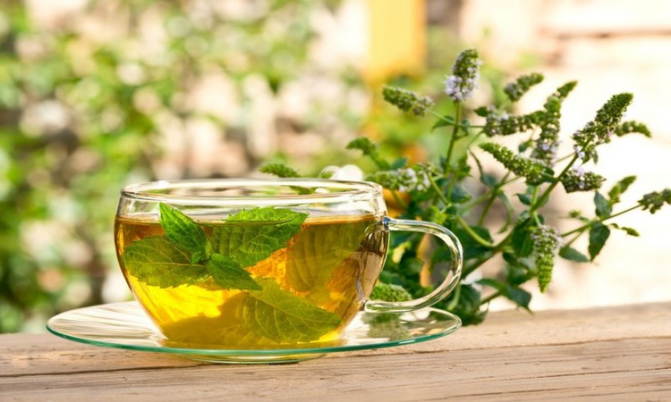 herbal tea blend-peppermint tea