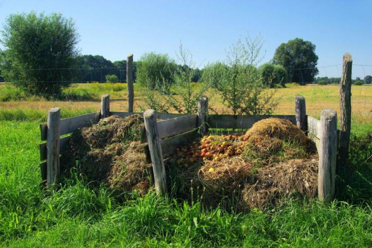 Compost Pile: What Are Its Benefits & How Does It Work?
