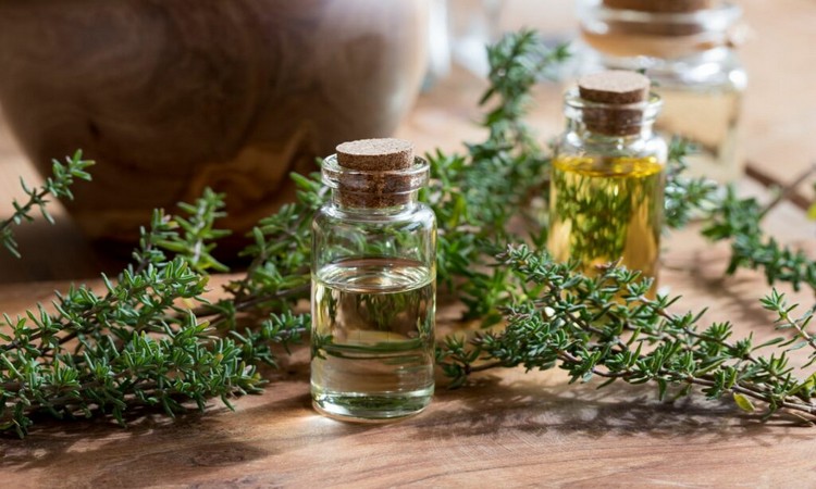 thyme oil remedy