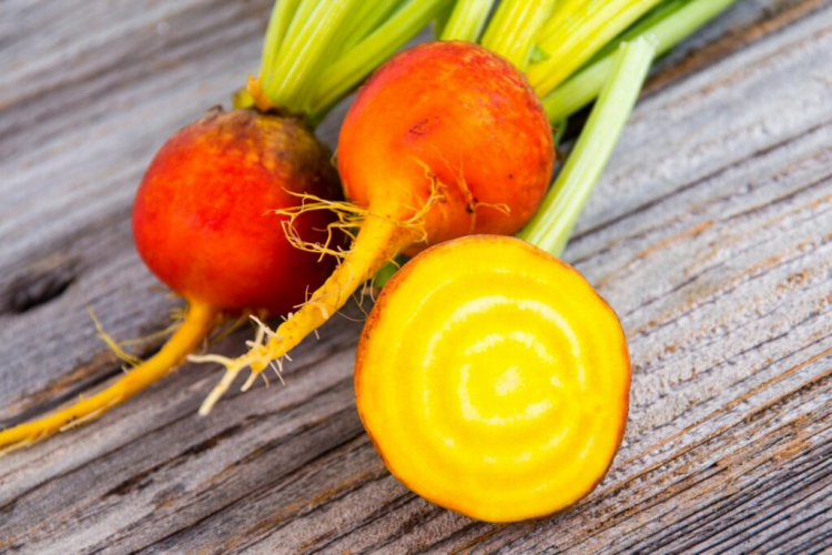 Yellow Beets: How To Cultivation & Care In The Garden
