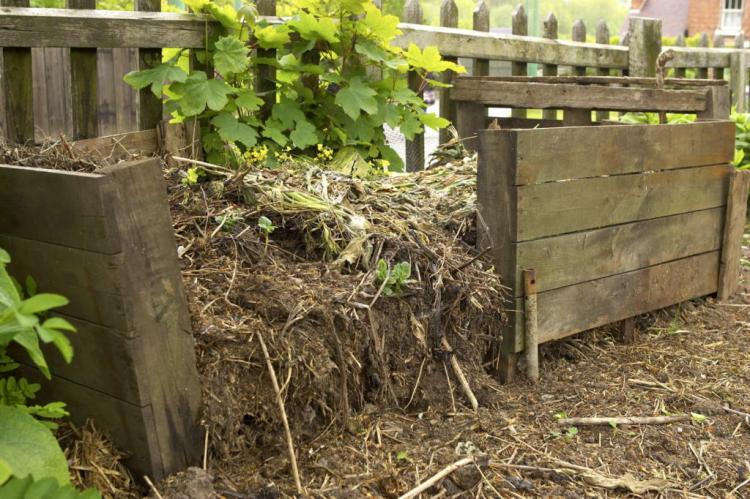 Composting correctly: tips & tricks about your own compost