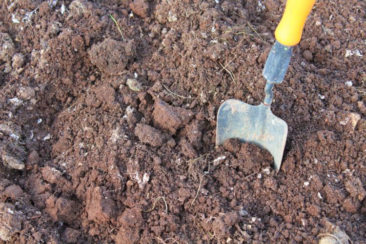 7 Tips To Improve The Garden Soil