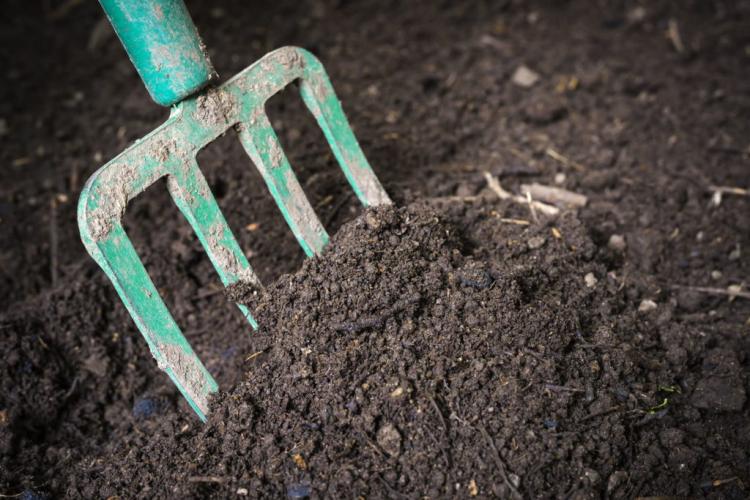 What is compost? Properties, origin & yield