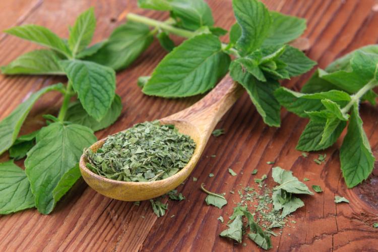 Drying mint: our tips for preserving it