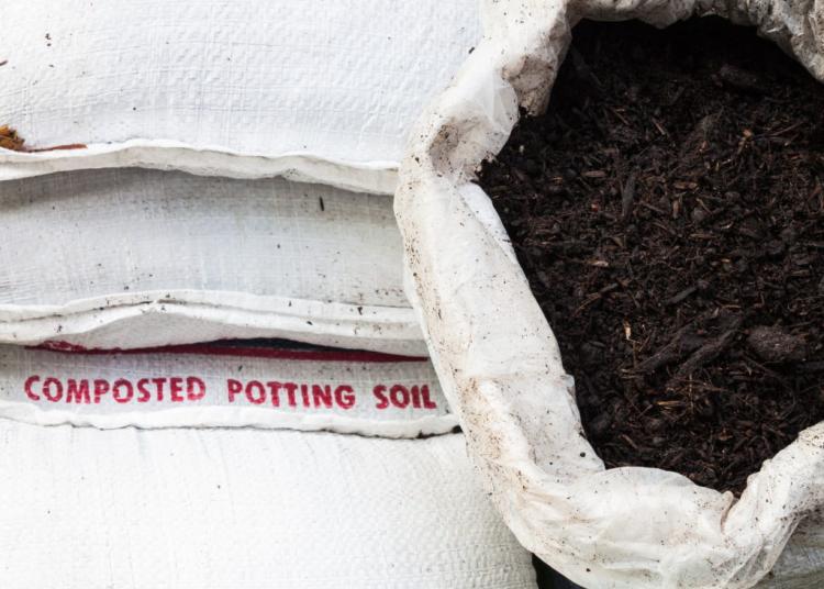 Buy compost or make it yourself?