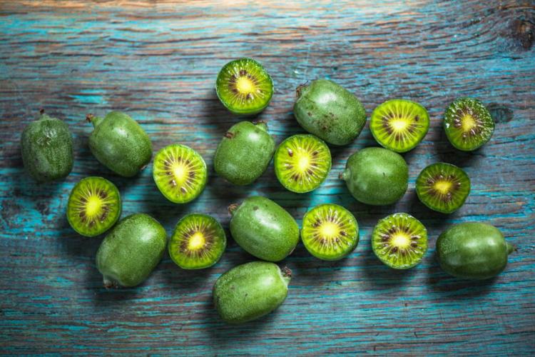 Mini Kiwi: Origin And Special Features Of The Kiwi Berry