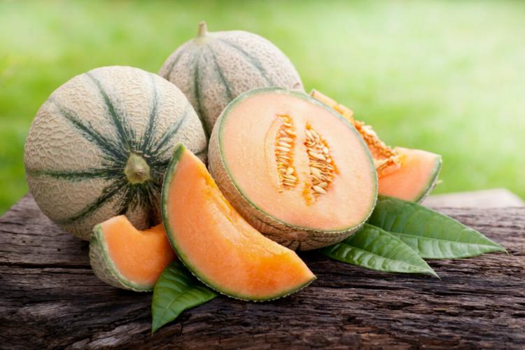 Melon species & varieties: the best melons for growing in Germany