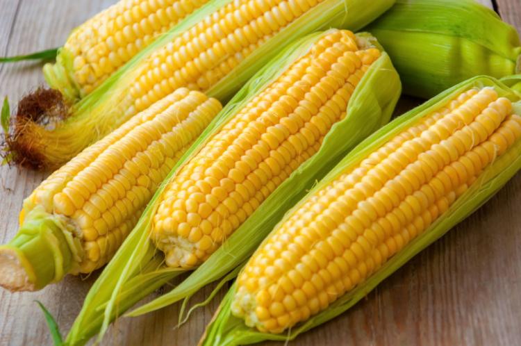 Planting Corn: Tips & Types For Growing In The Garden Or On The Balcony