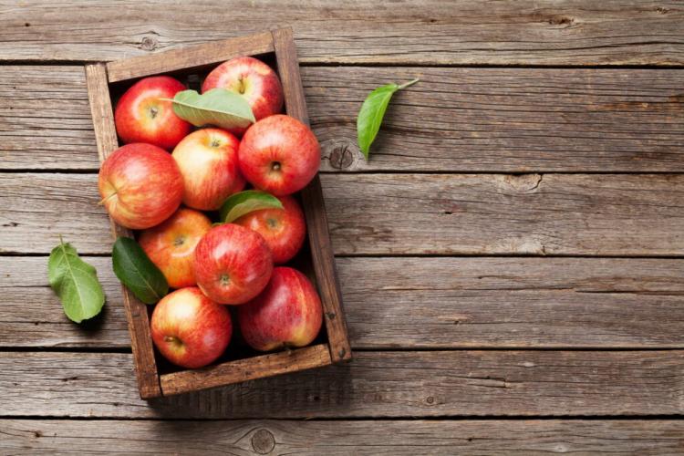How To Harvest And Store Apples
