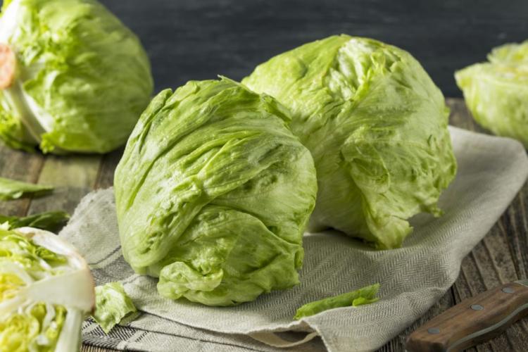 Iceberg lettuce: everything you need to know about growing & harvesting a healthy lettuce