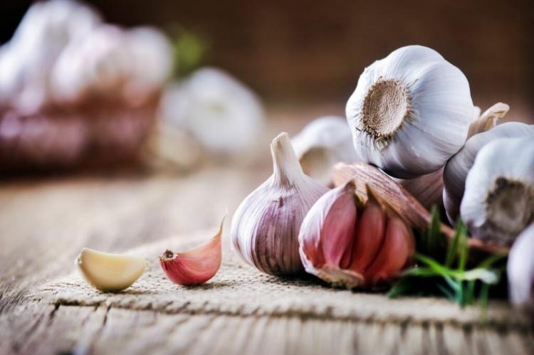 Garlic varieties: the 20 best varieties at a glance