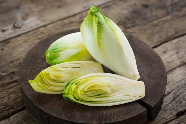 Chicory: Expert Tips On Cultivation, Care And Harvest