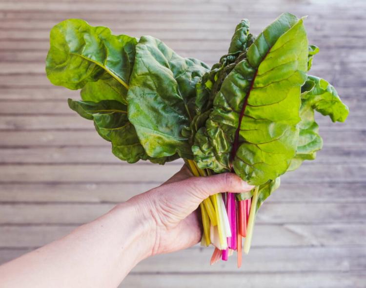 Harvesting Swiss Chard: Everything About Harvest Time, Storage And Shelf Life