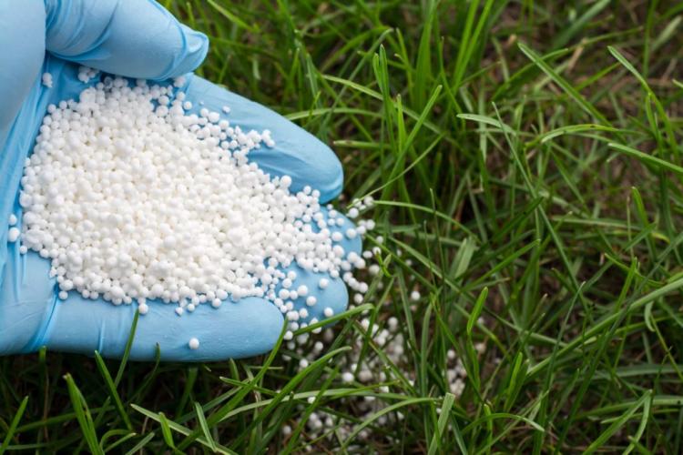 Epsom salt: properties & use as fertilizer
