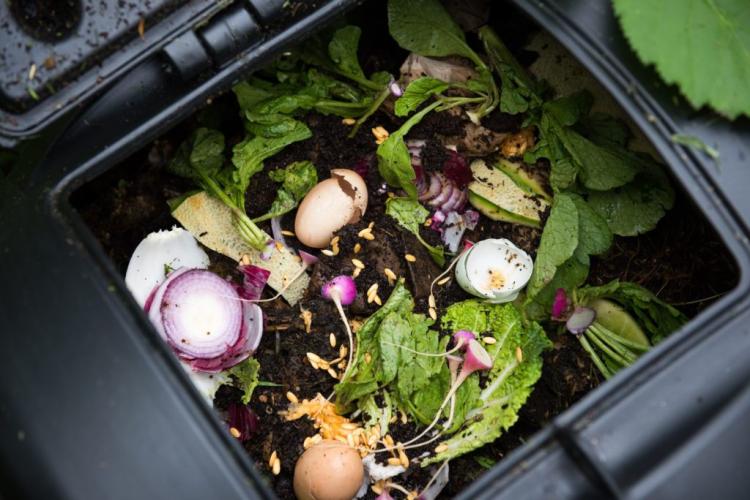 What Is Compost? Properties, Origin And Yield
