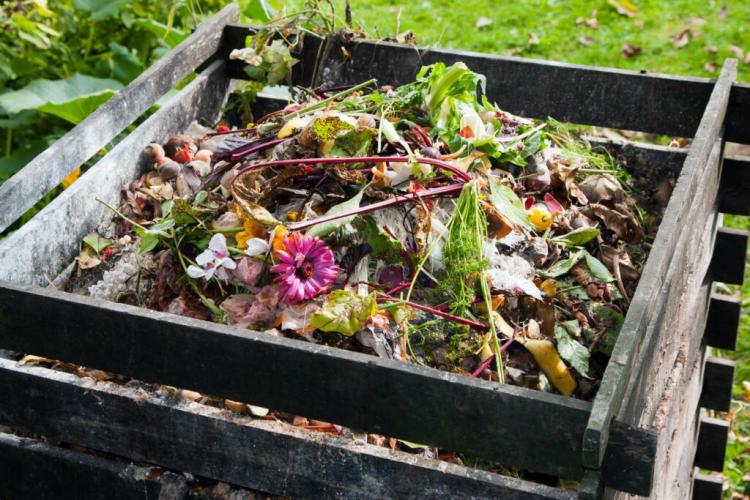 Composting Tips And Tricks How To Make Compost Faster