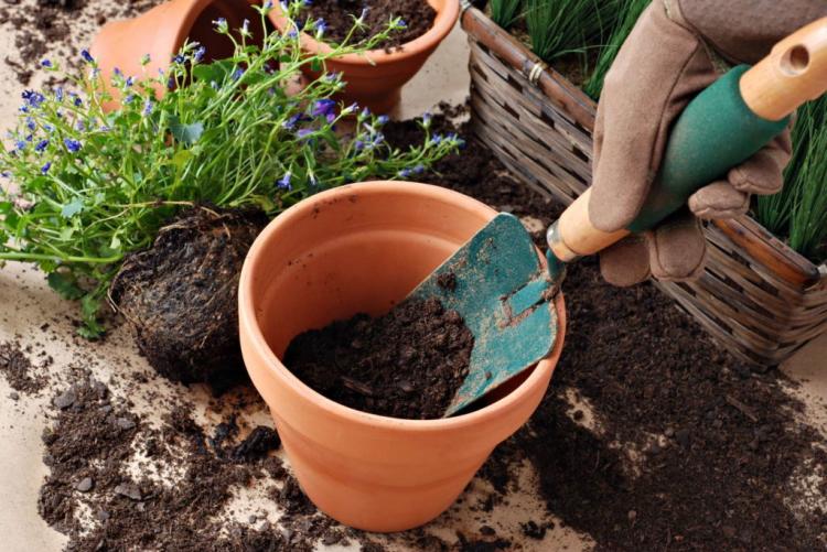 Compost: Everything From Correct Composting To The Composting Toilet