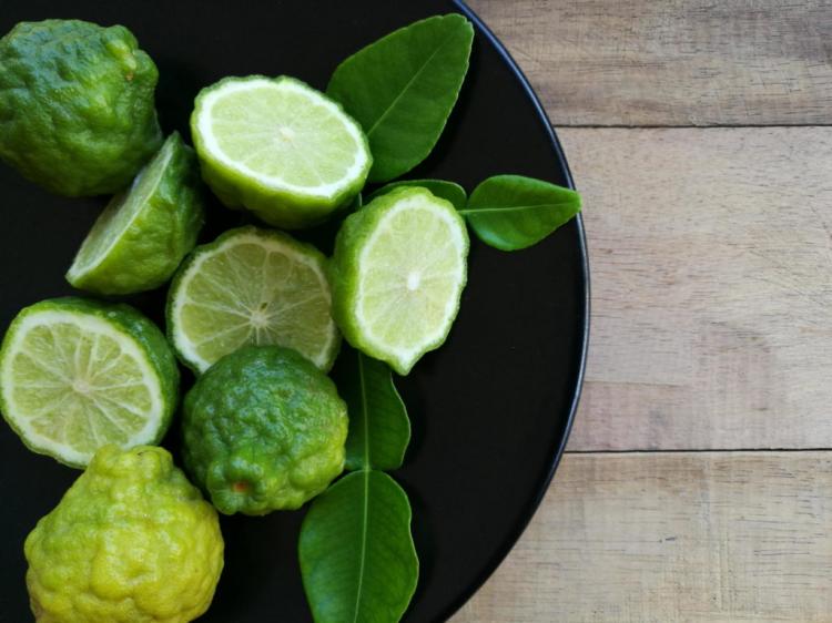 Kaffir lime: Cultivation & special features of the kaffir lime