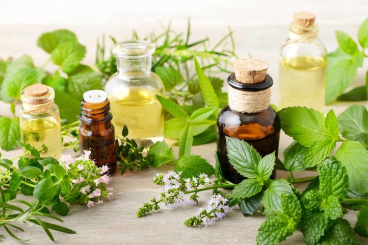 Peppermint oil is a well-known remedy