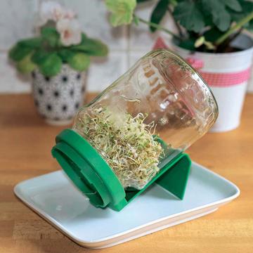 Sprout Jar