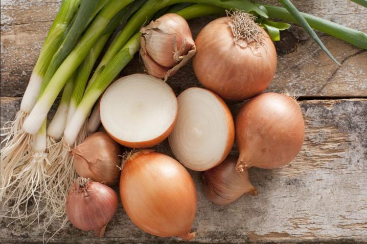 What is the difference between leeks, leeks, onions & spring onions?