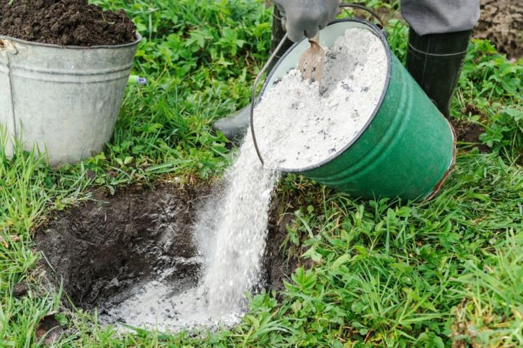 Natural fertilizers: uses & benefits of natural fertilizers